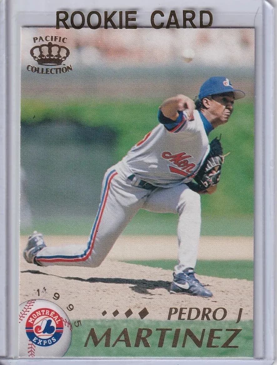 Pedro J. Martinez #271