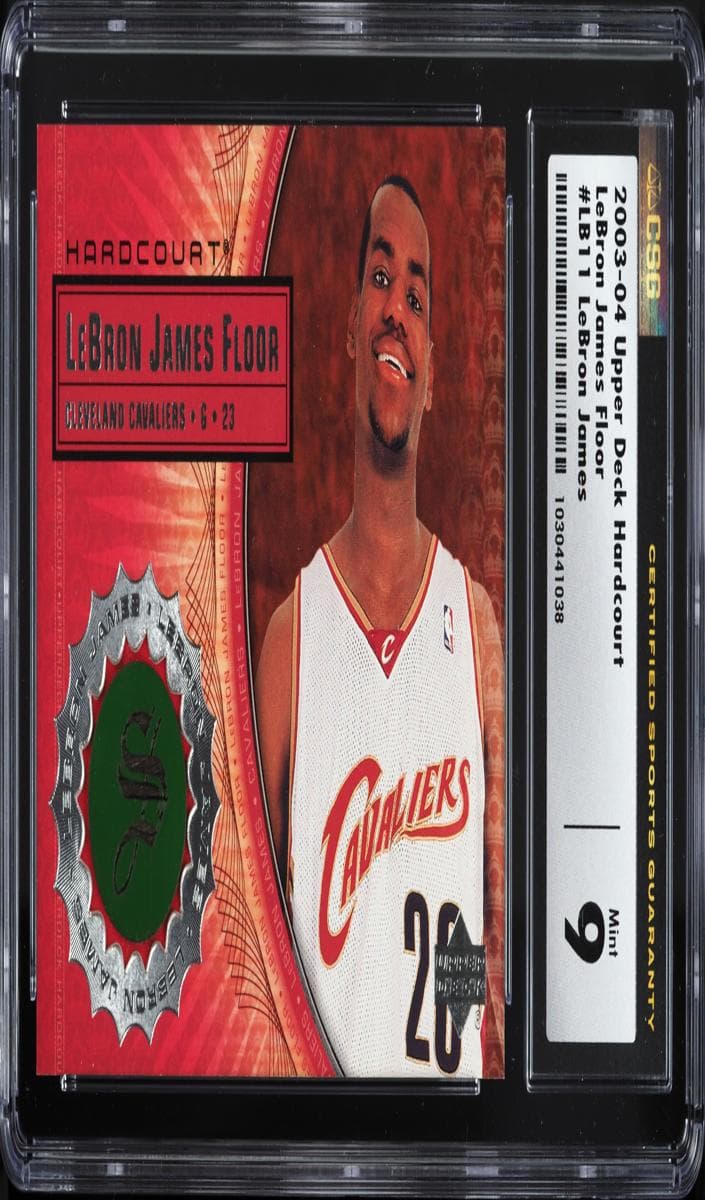 LeBron James #LJ11