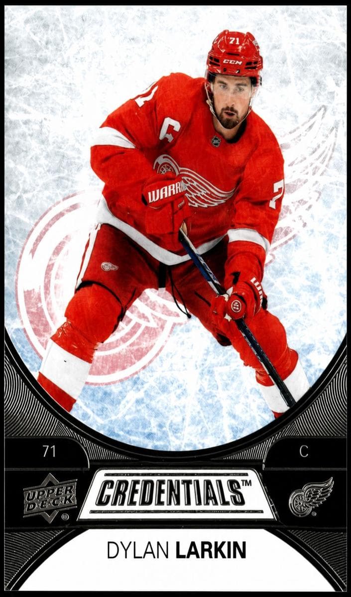 Dylan Larkin #39