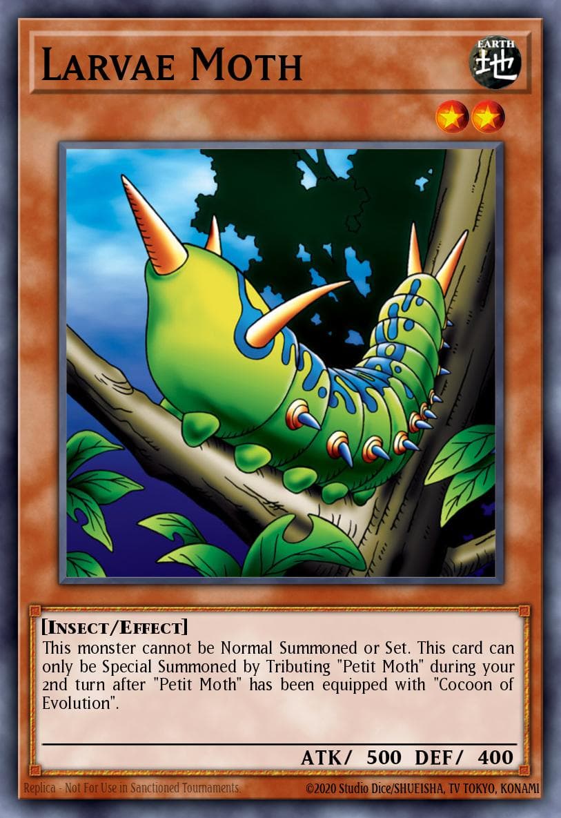 Larvae Moth #MRD-007