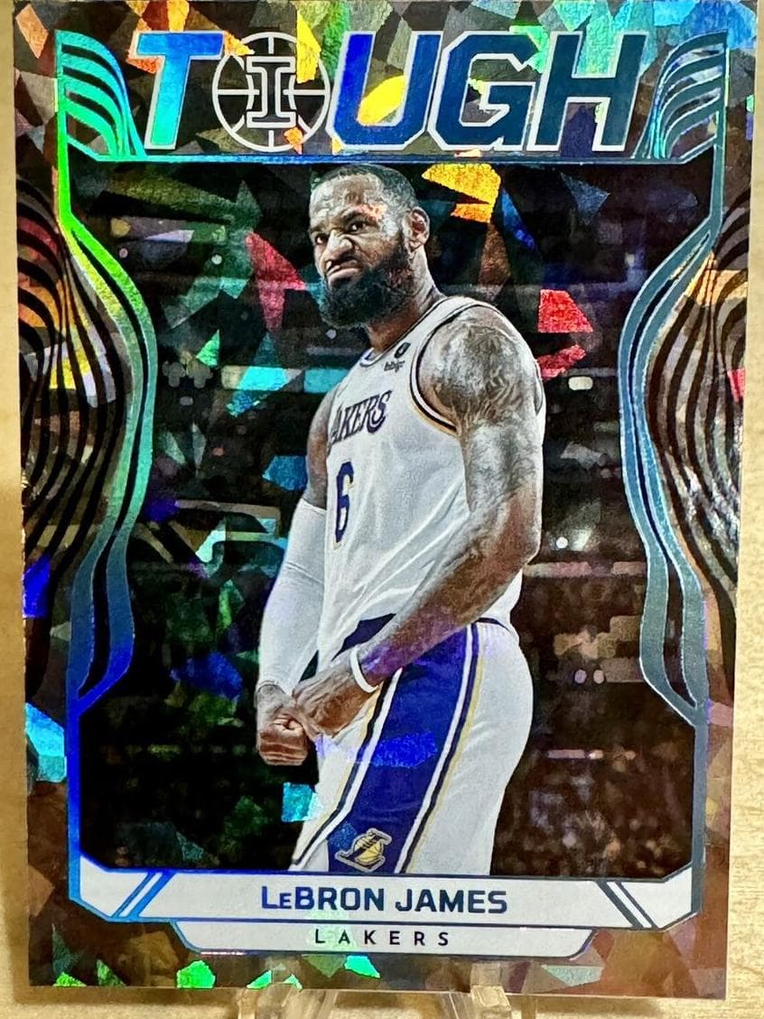 LeBron James #24