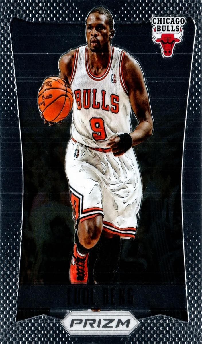 Luol Deng #73