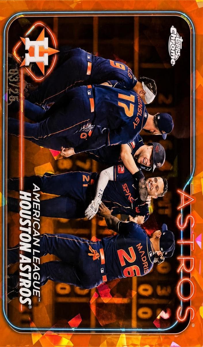 Houston Astros #132