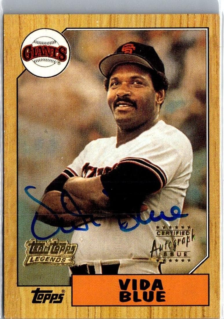 Vida Blue #TT33R