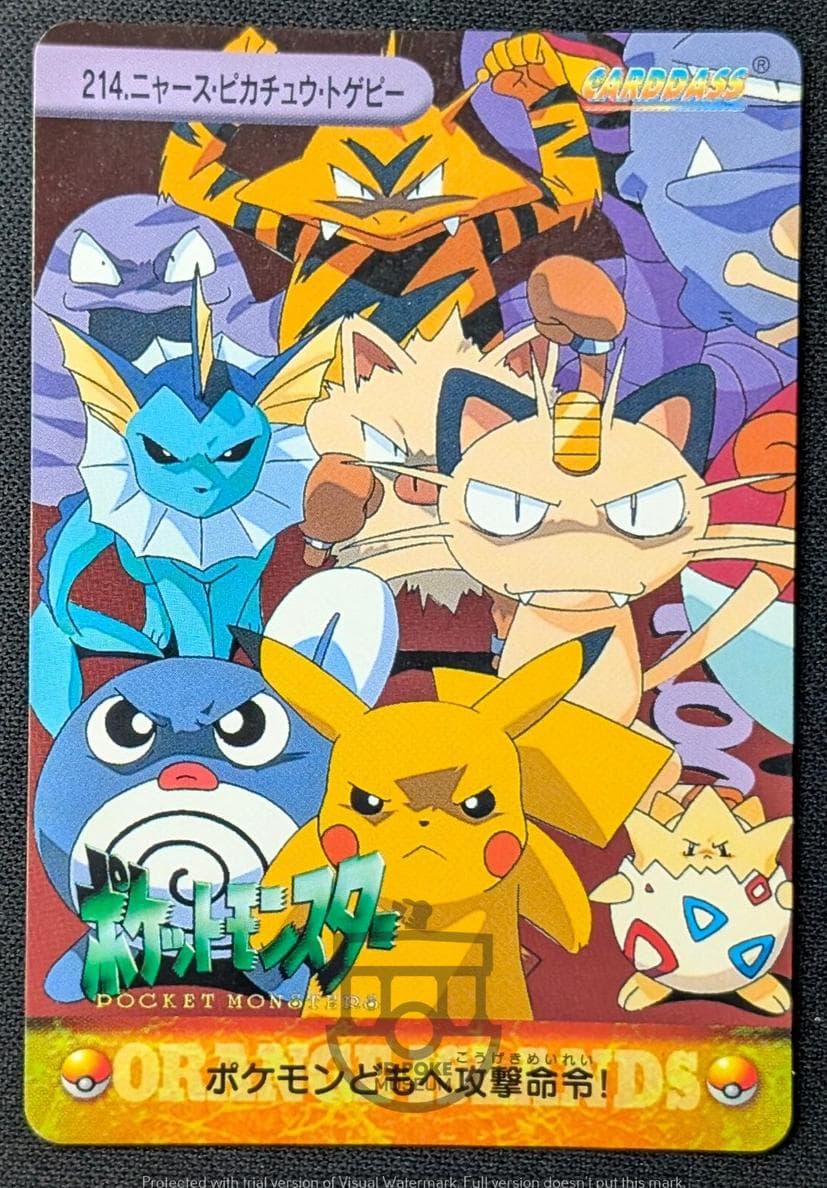 Pikachu #214