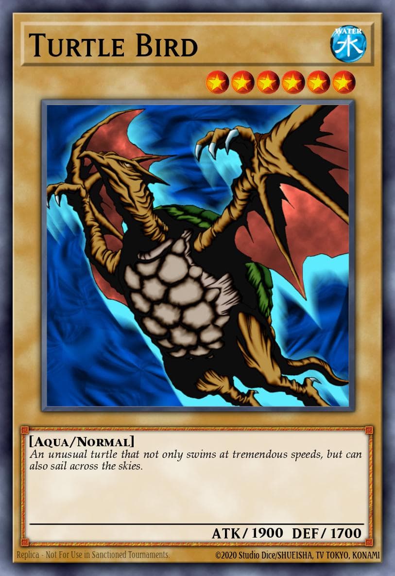 Turtle Bird #MP1-014