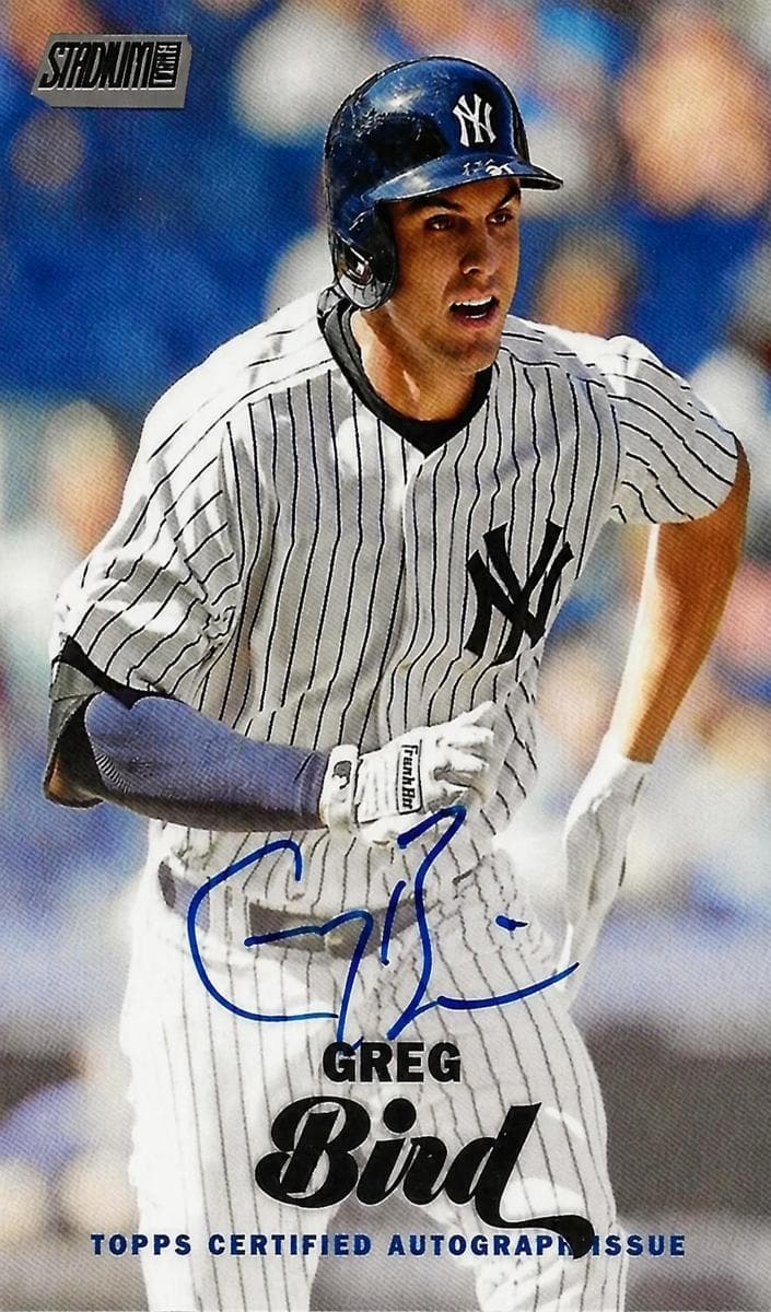Greg Bird 2017 unknown