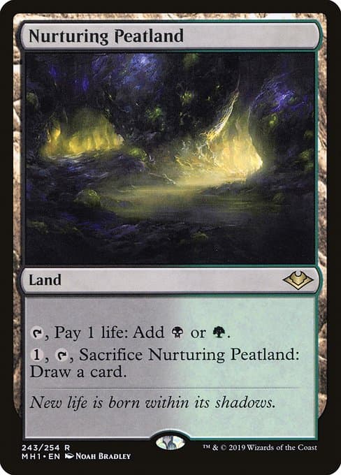 Nurturing Peatland 2019 Magic: The Gathering Modern Horizons
