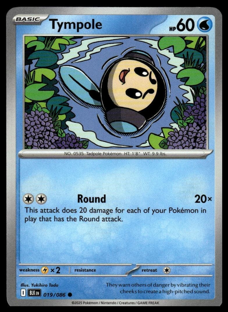 Tympole 2025 Pokemon Black Bolt