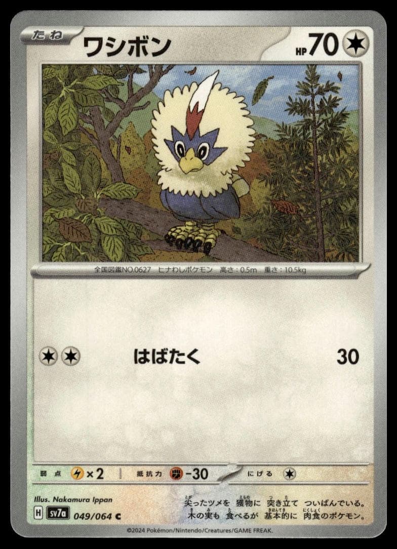 Rufflet trading card