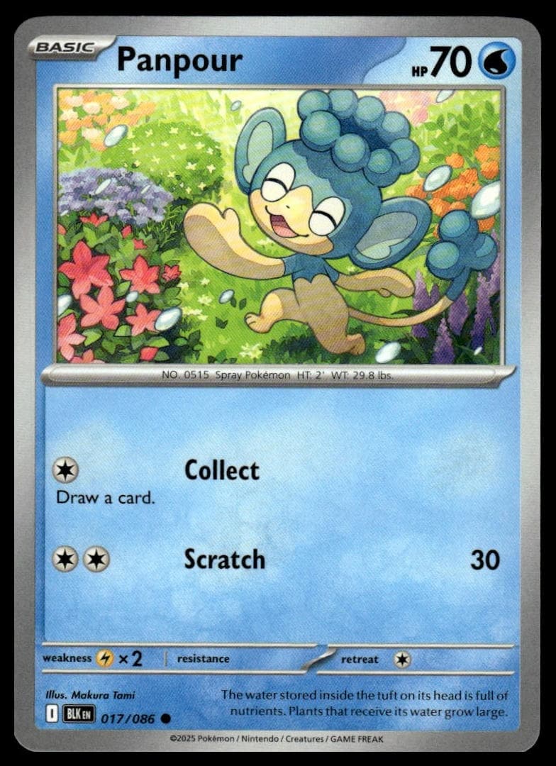Panpour trading card