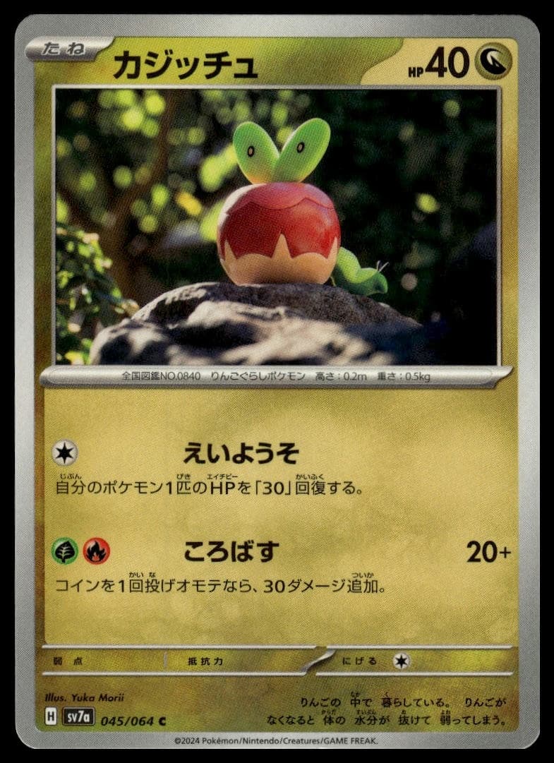 Applin 2024 Pokemon