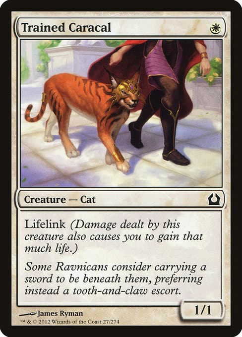 Trained Caracal 2012 Magic: The Gathering Return to Ravnica
