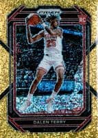 Dalen Terry trading card