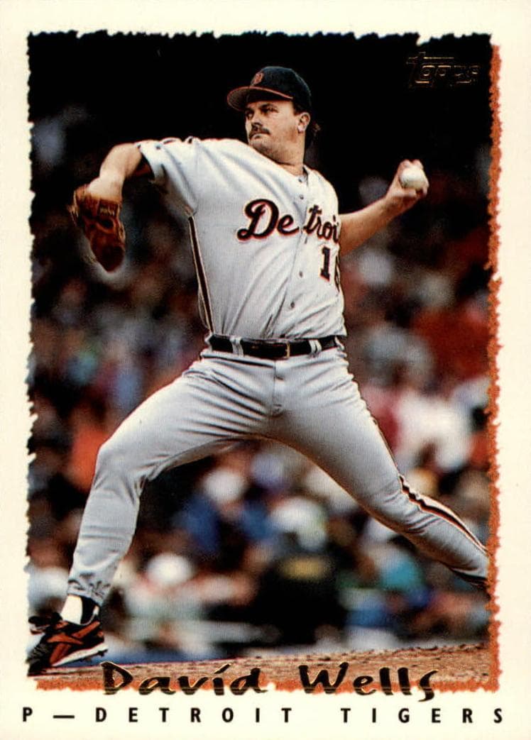 David Wells #434
