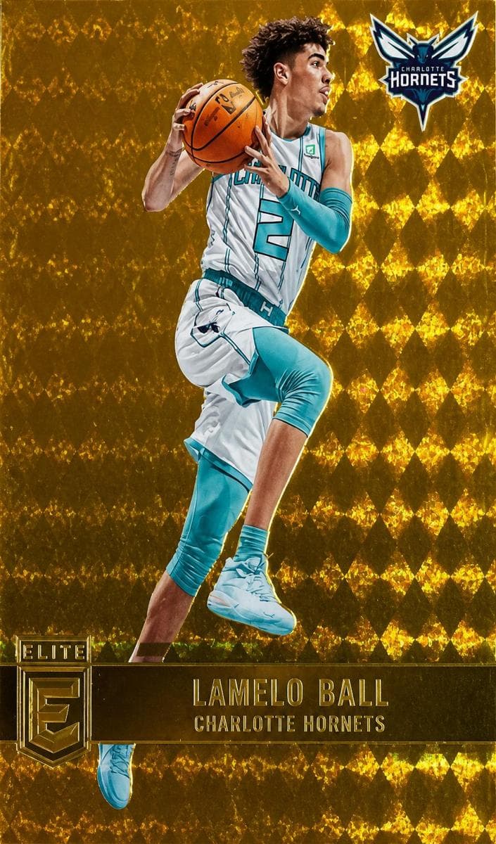 LaMelo Ball #31