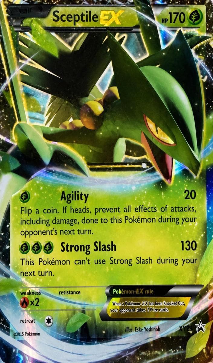 Sceptile EX #xy53