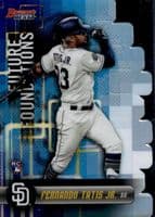 Fernando Tatis Jr. #FF-FTJ