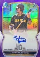 Daniel Montesino trading card