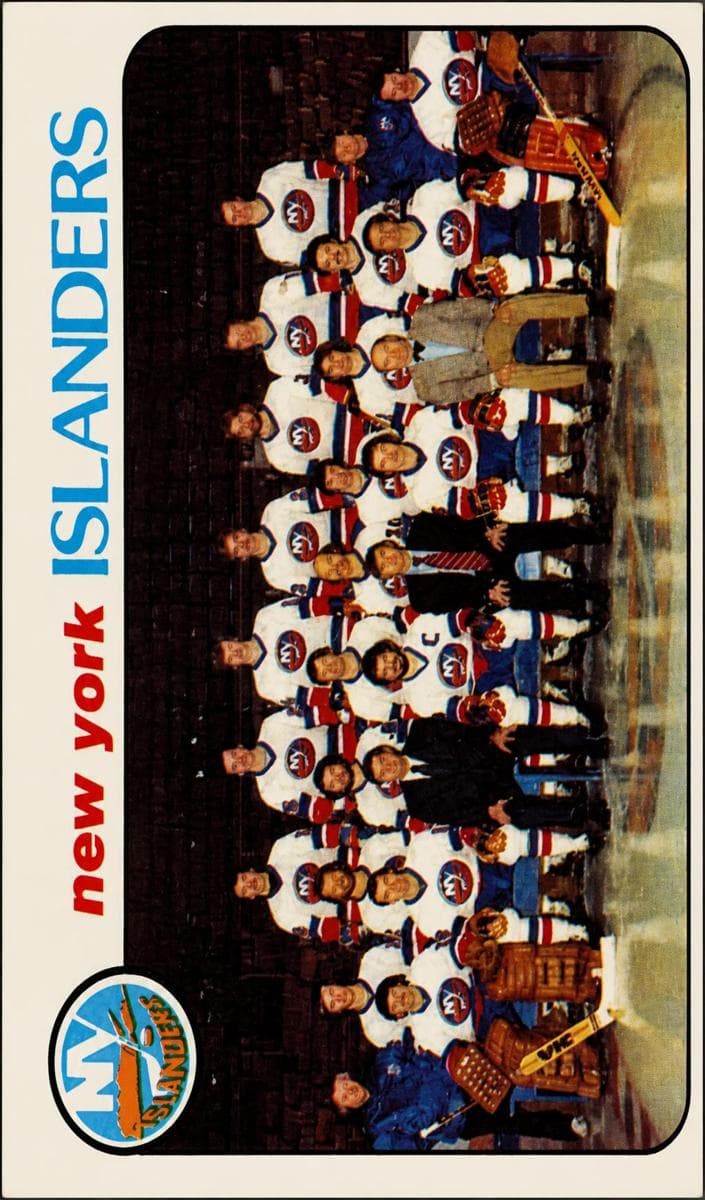 New York Islanders Team #201