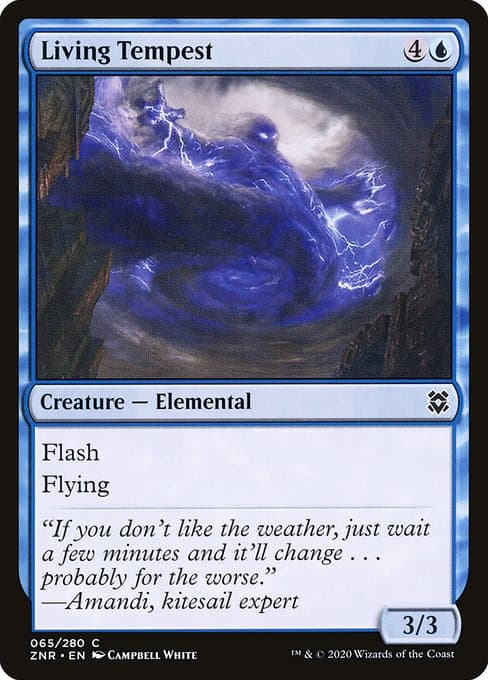 #65