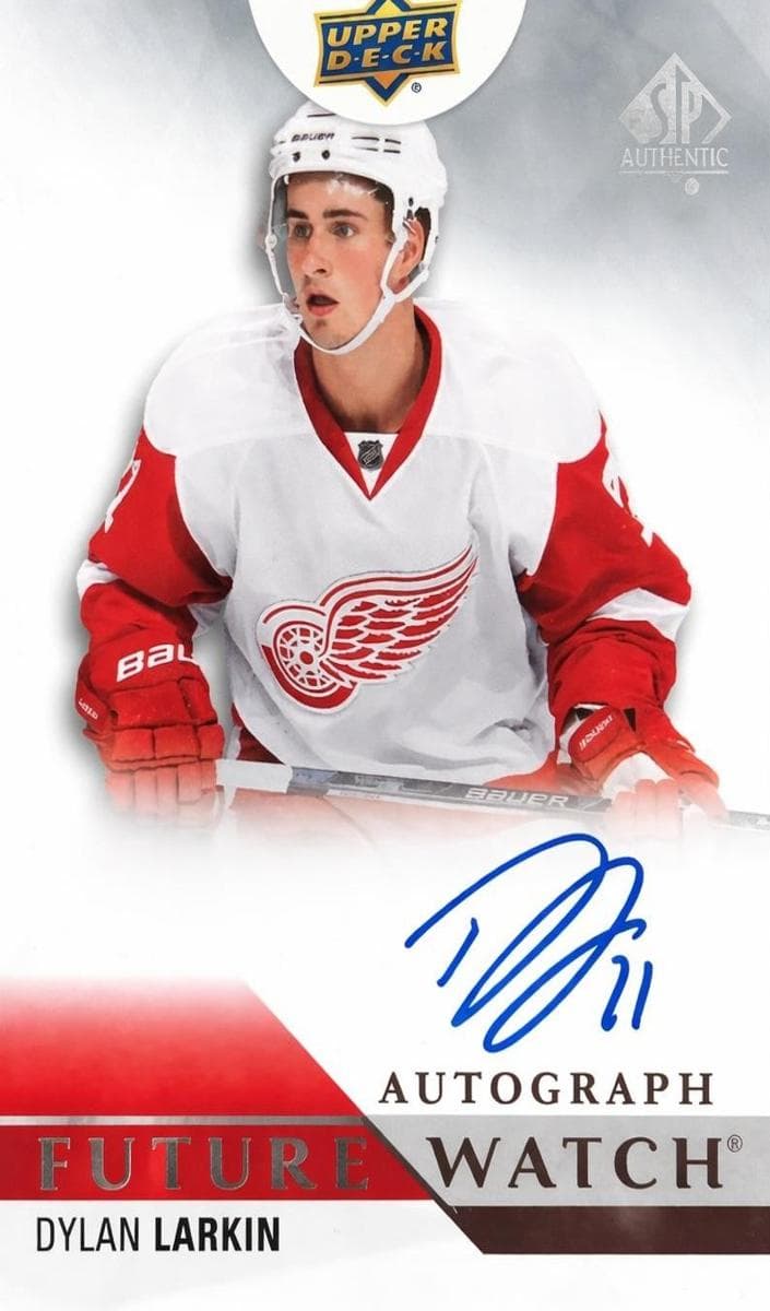 Dylan Larkin #260