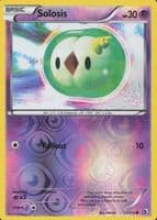 Solosis trading card