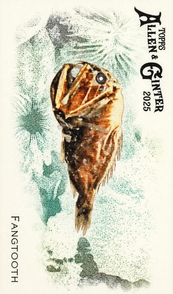 Fangtooth 2025 topps Allen & Ginter
