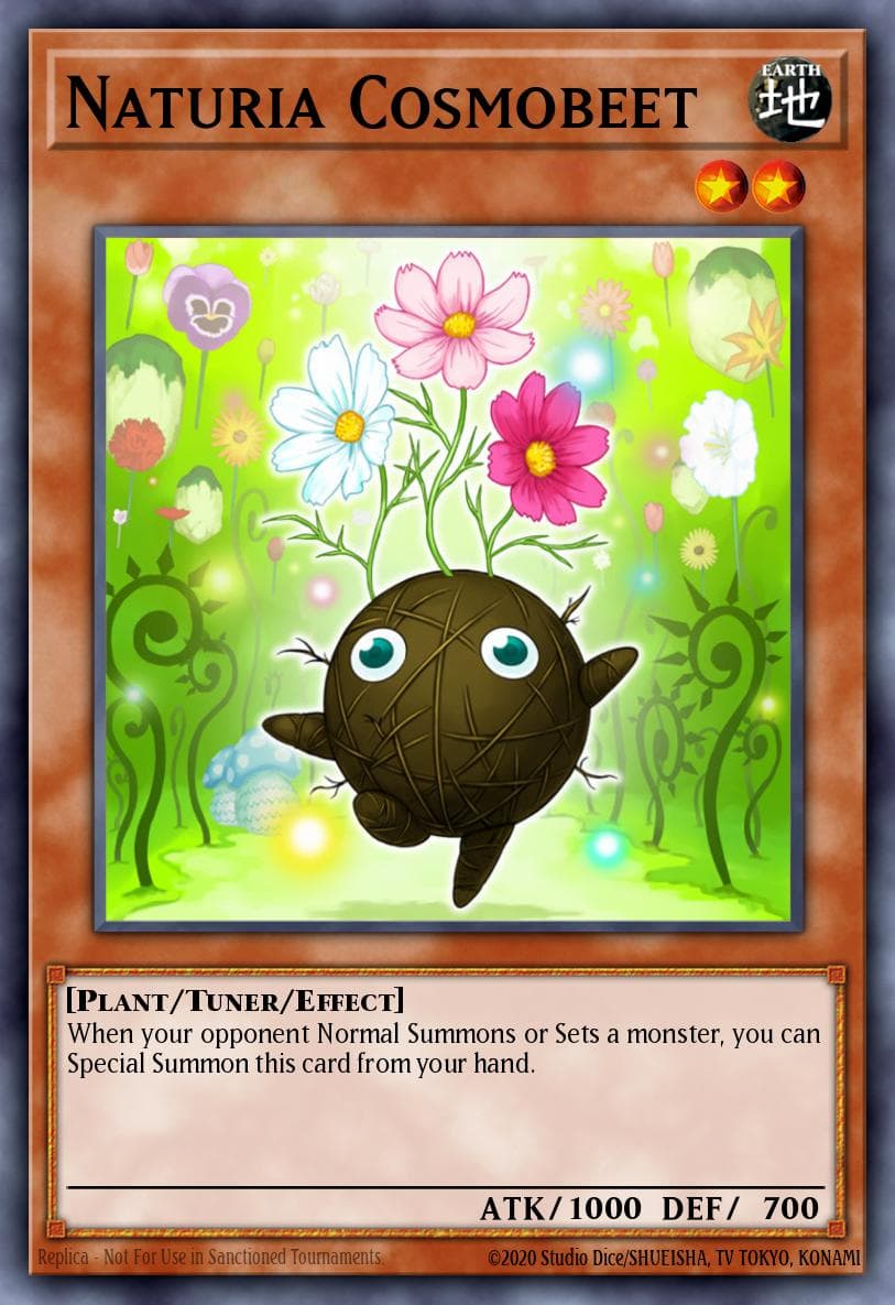 Naturia Cosmobeet #DT02-EN072