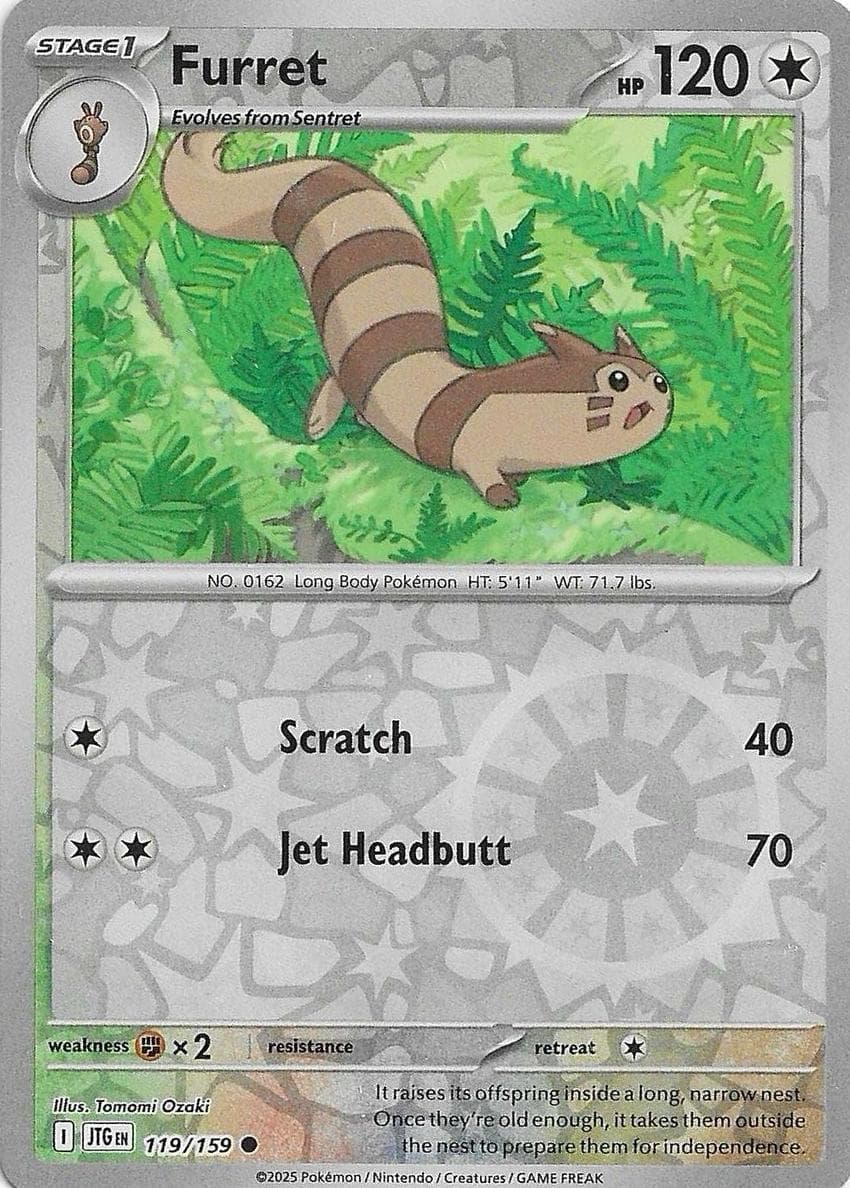 Furret #119