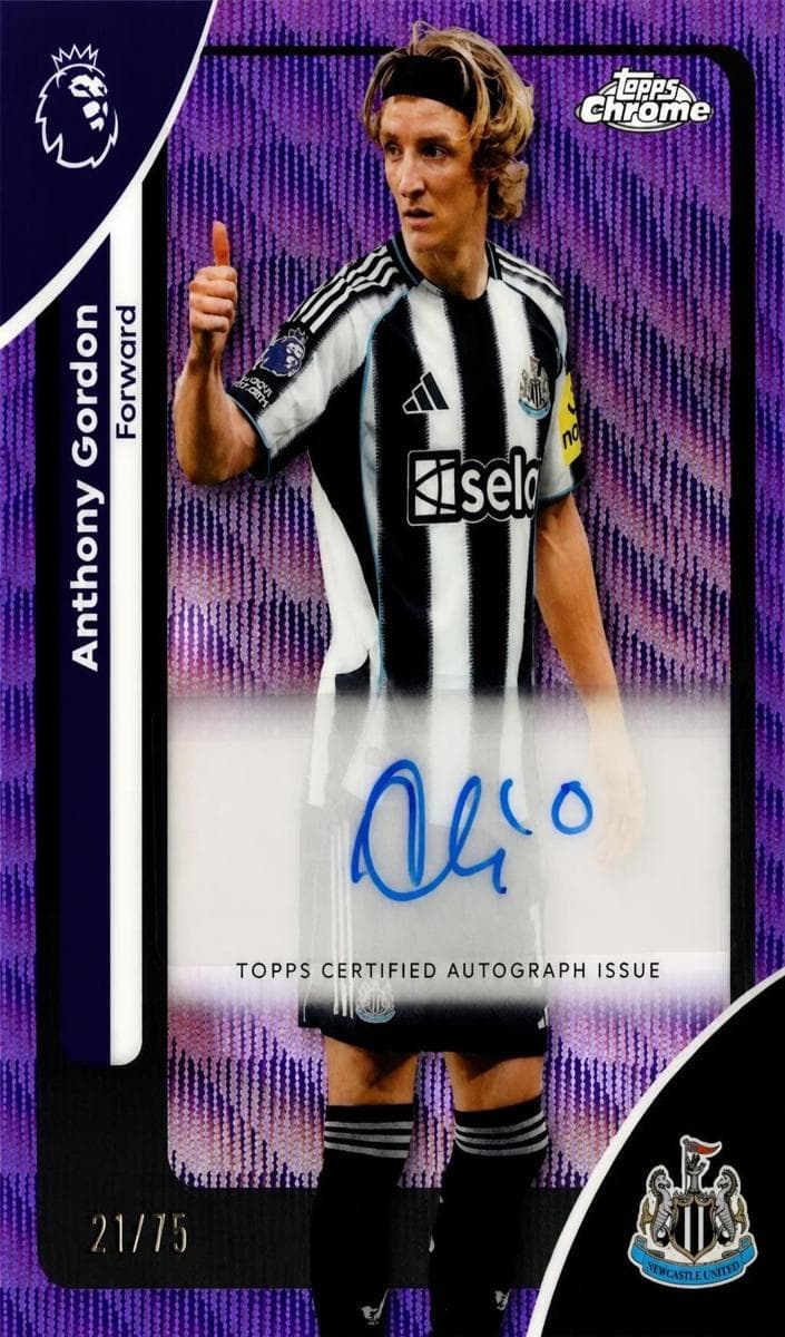 Anthony Gordon #CA-AY