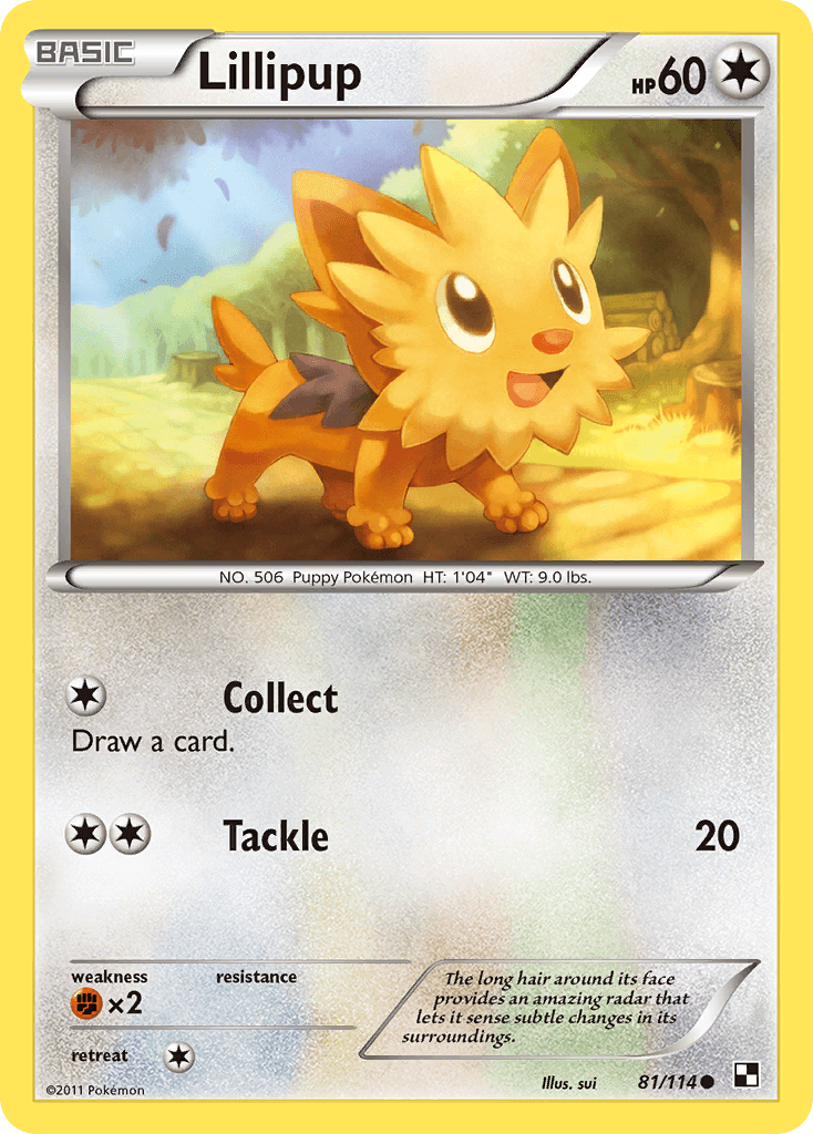 #81