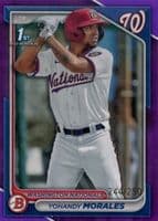 Yohandy Morales trading card