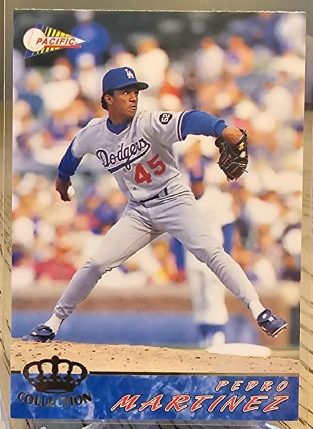 Pedro Martinez #313