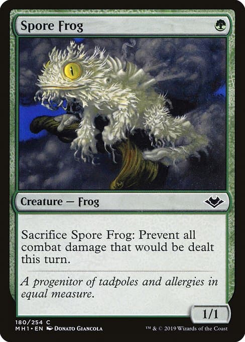 Spore Frog 2024 Magic: The Gathering Bloomburrow Commander