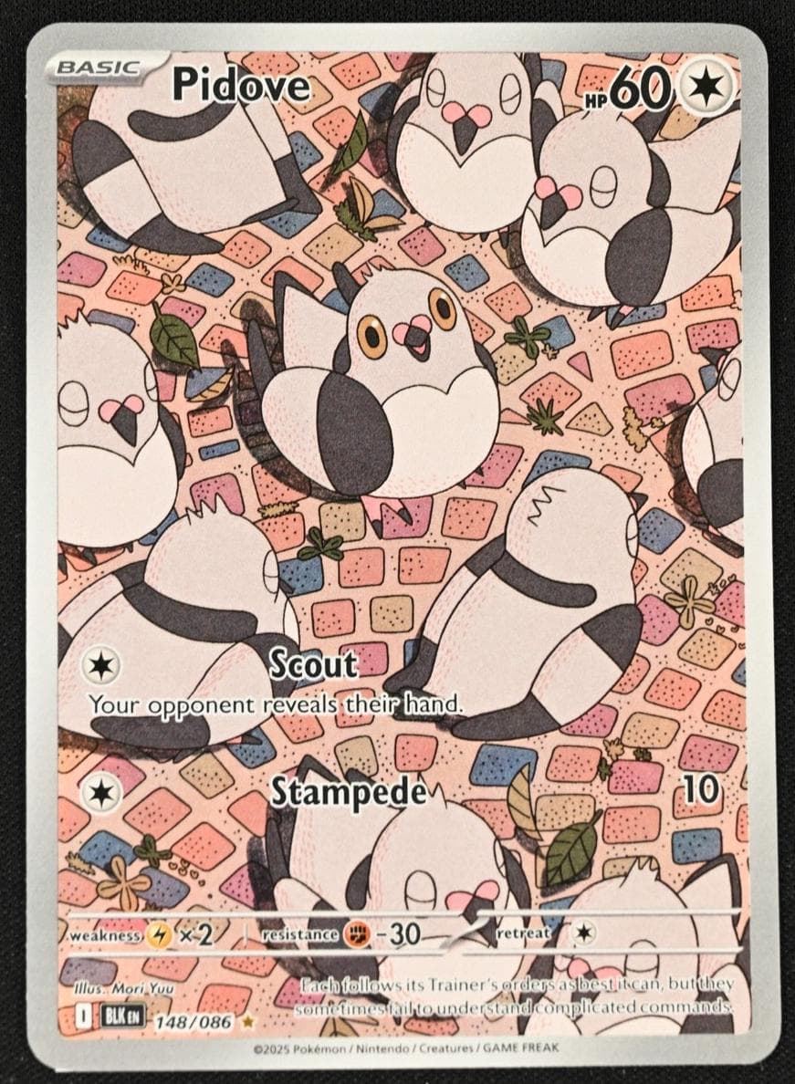 Pidove #148