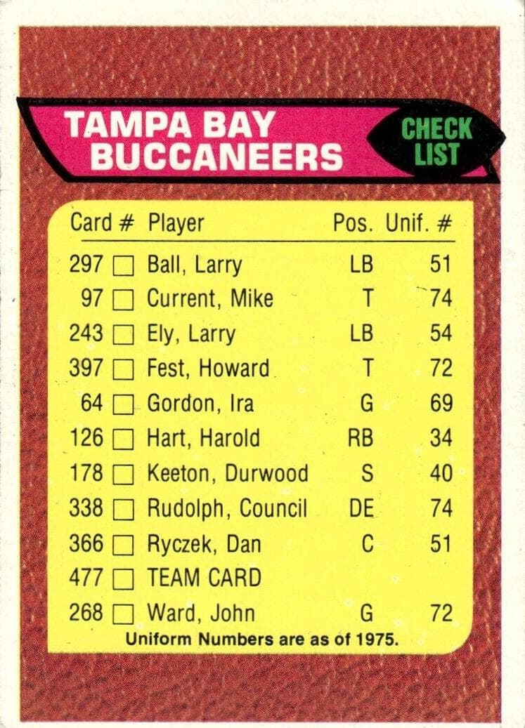 Tampa Bay Buccaneers #477