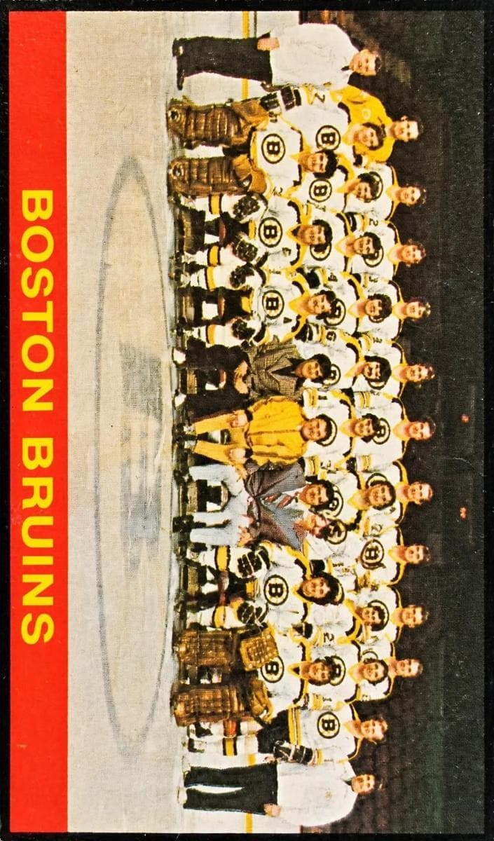Boston Bruins Team #350