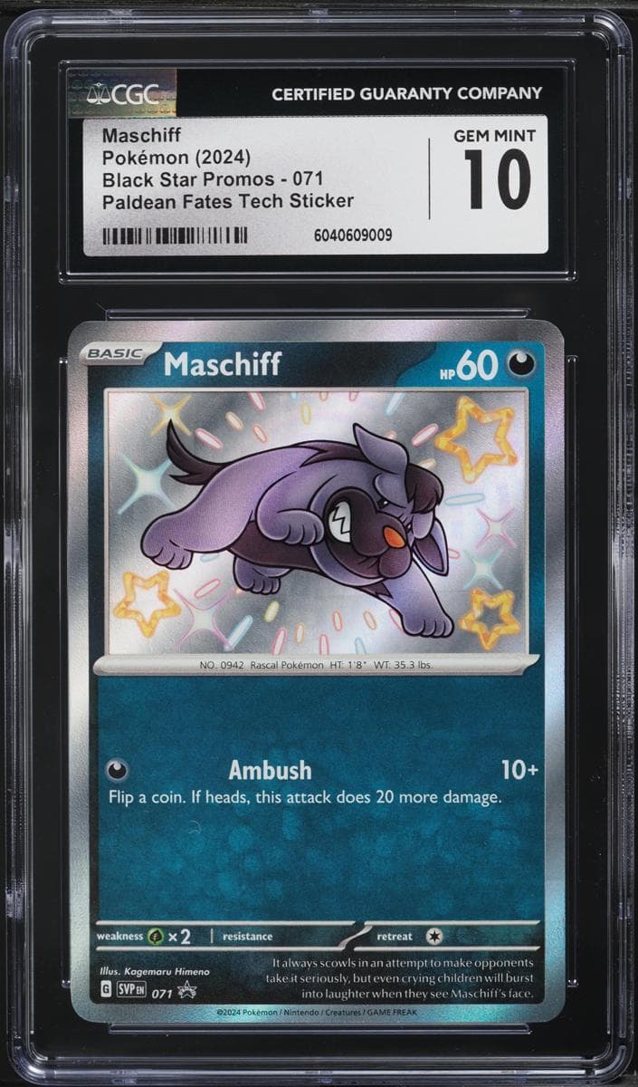 Maschiff #71