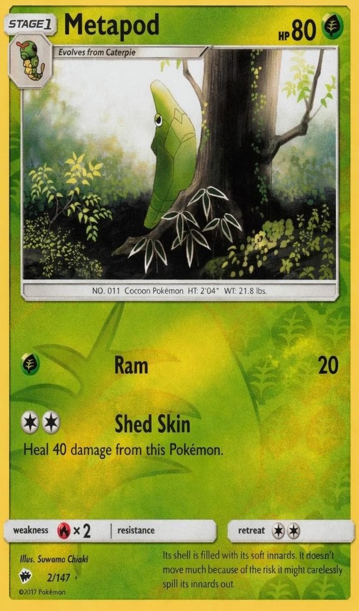 Metapod #2