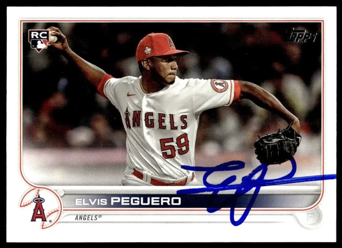 Elvis Peguero trading card