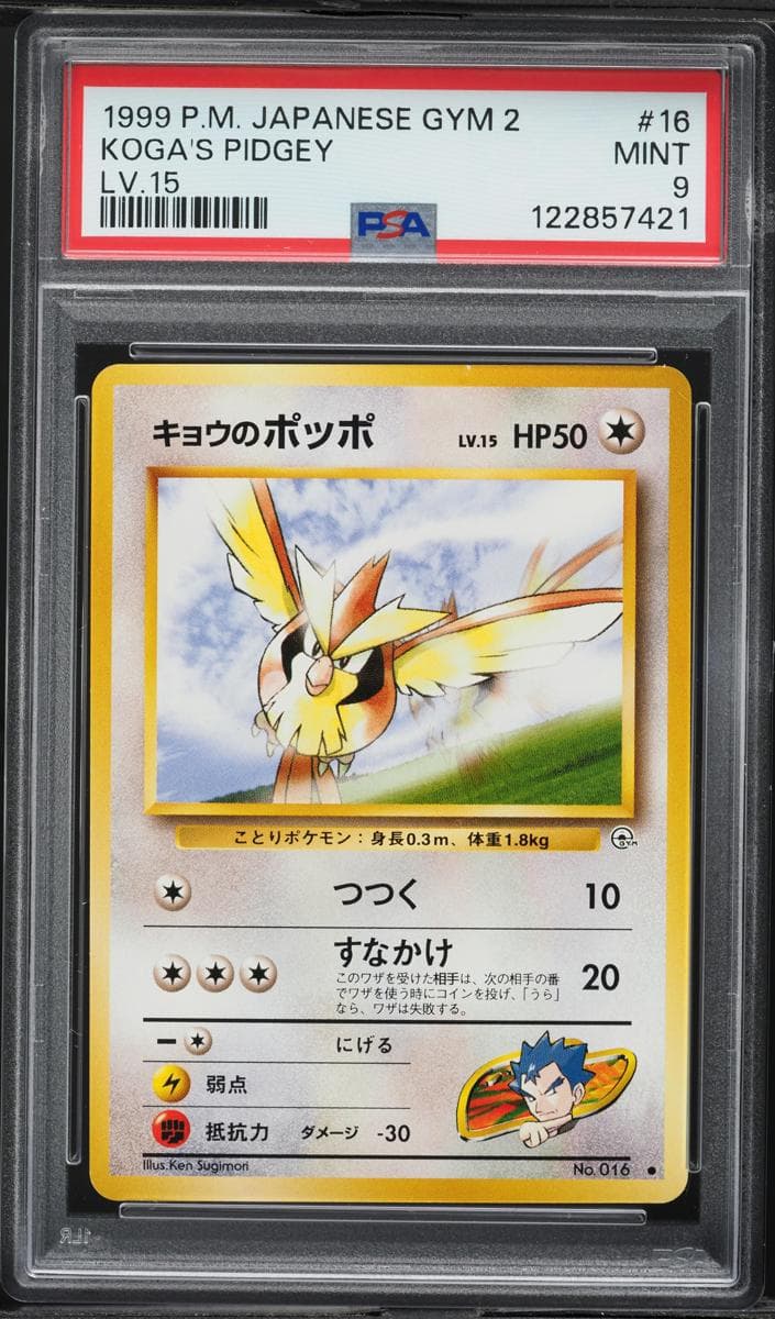 Koga's Pidgey #16