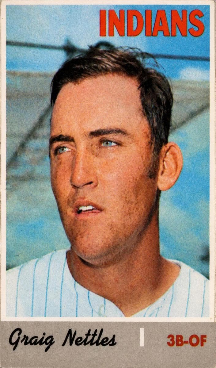 Graig Nettles #491