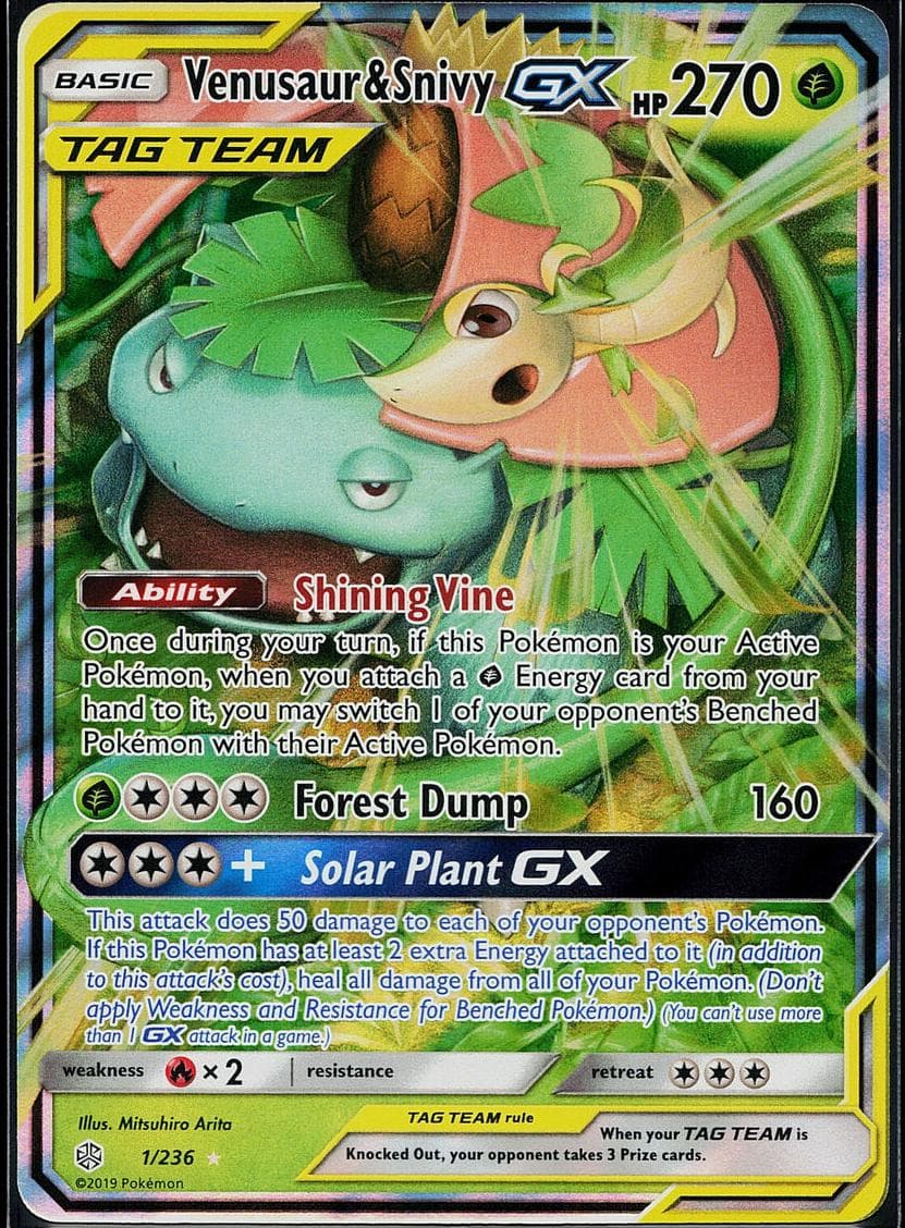 Venusaur & Snivy-GX #1