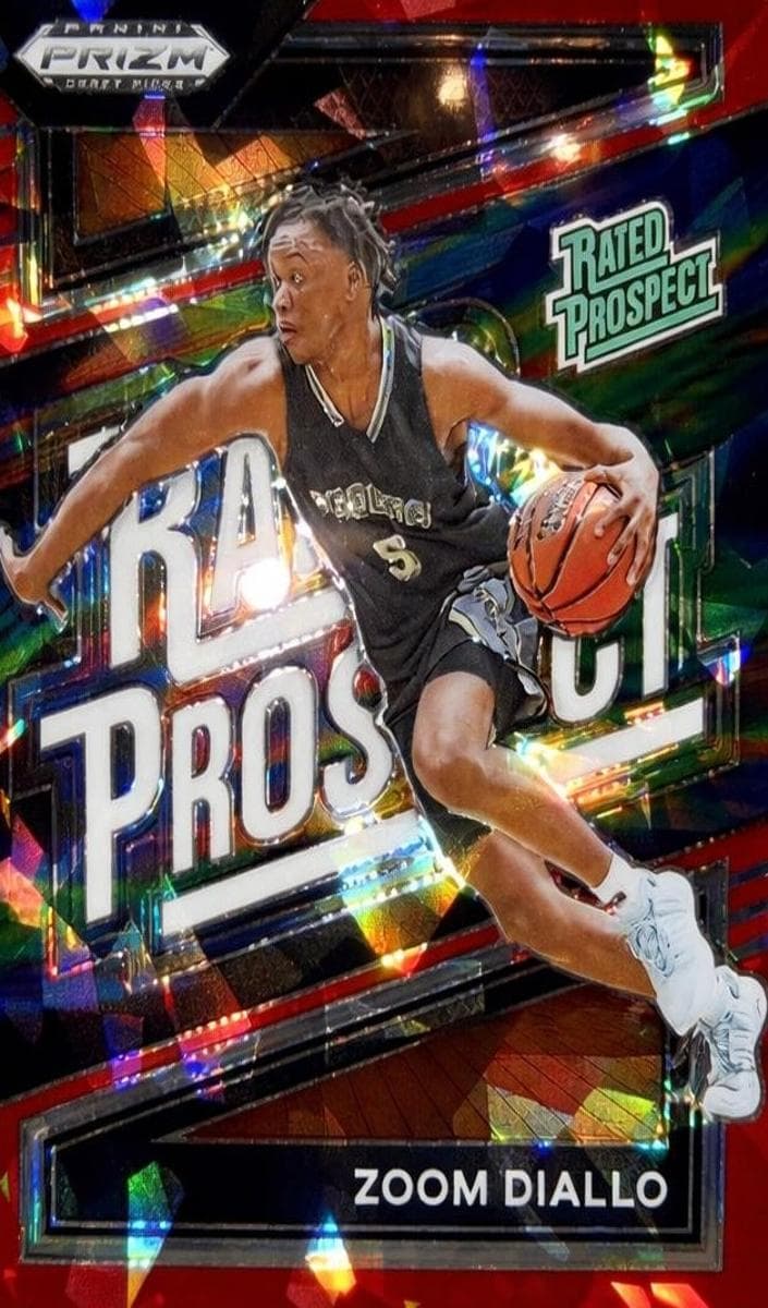 Zoom Diallo #1