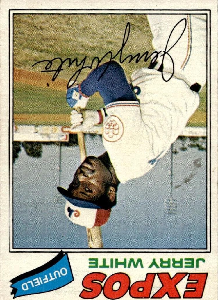 #81