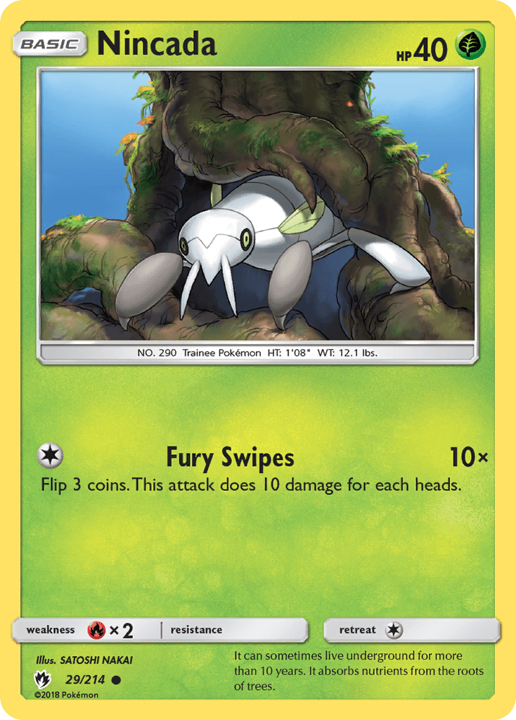 #29