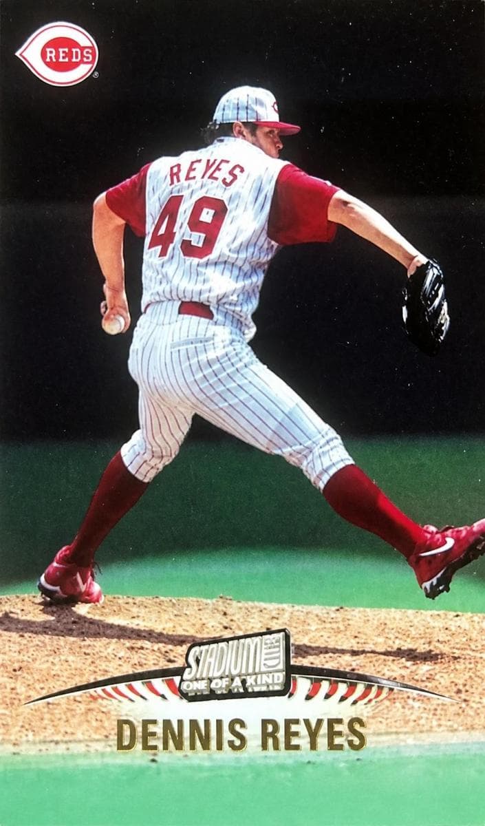 Dennis Reyes #246