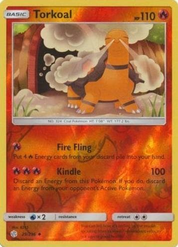 Torkoal #29