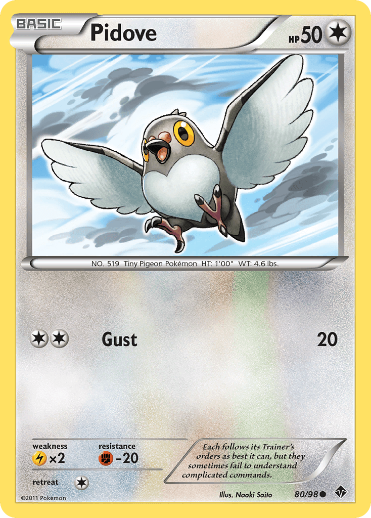 Pidove #80